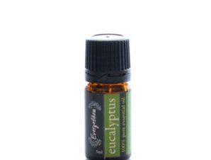 Essential Oil Eucalyptus Evergetikon