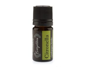 Essential Oil Citronella by Evergetikon