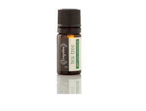 Essential Oil Tea Tree by Evergetikon